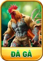 da-ga-xin88